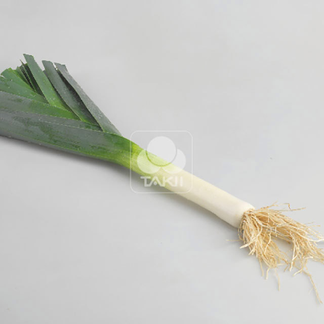 Leek Mako Nice F1