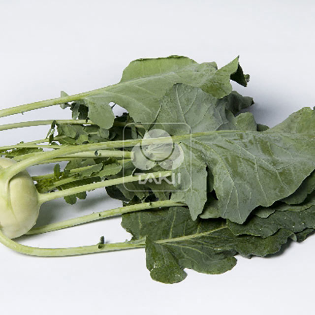 Kohlrabi Verano F1 White Powder