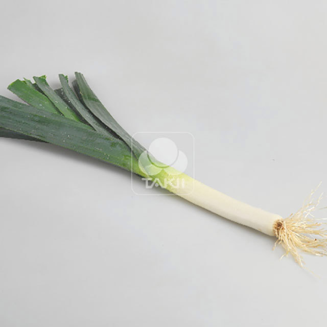 Leek Mako Flash F1