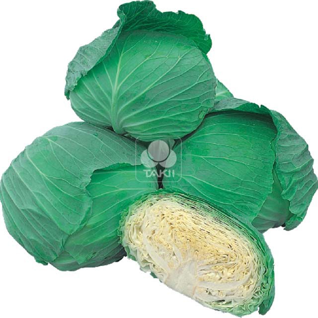 Brassica oleracea Spring Hero F1