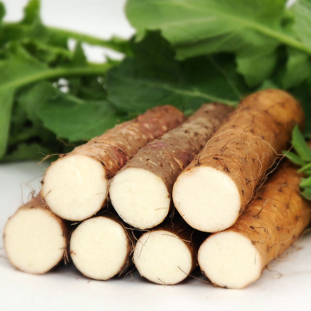 Dioscorea rhizoma