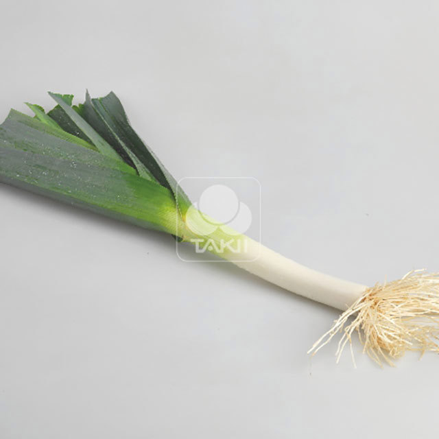 Leek Mako Power F1