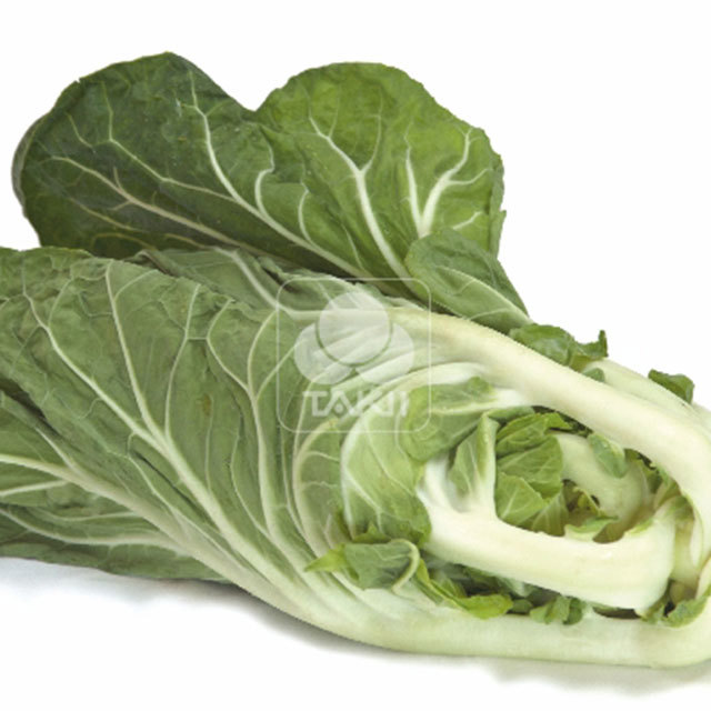 Brassica oleracea Luzia F1