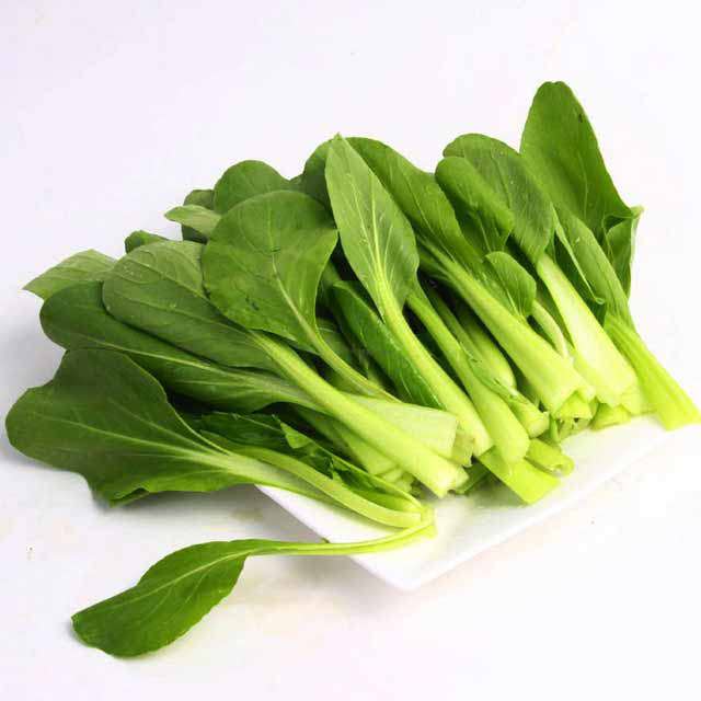 Brassica chinensis