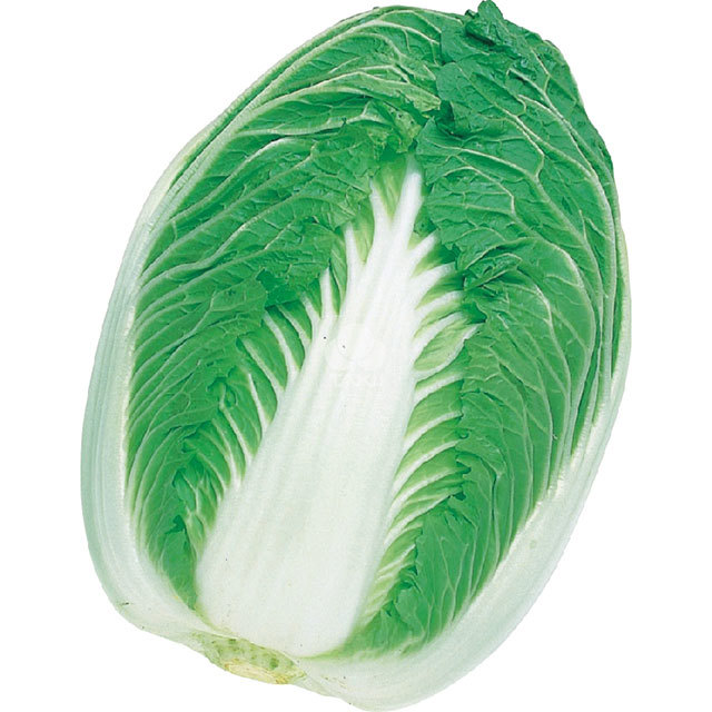 Chinese Cabbage Blues F1 Brown Leaf Tips