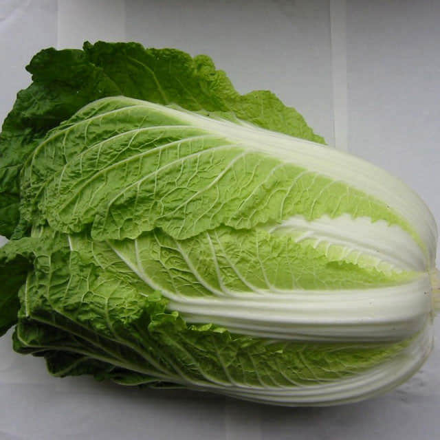 Chinese Cabbage (Napa) Tiny Black Flies