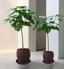 Bleuhome 4 Pack 16 Inch Plant Saucer - Heavy Duty Plastic Flower Pot Trays for Indoor & Outdoor Use, Round Drip Trays and Bird Bath Bowls, Black 4