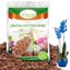 Legigo 6 Quarts Organic Orchid Potting Bark - All Natural Pine Bark Wood Chips for Houseplant Mulch and Root Development 1