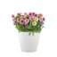Lechuza Classico Color 28 White Self-Watering Round Planter 11" 2