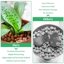 Riare 6 LBS Organic Expanded Clay Pebbles - 4mm-16mm Natural LECA Balls for Hydroponics, Aquaponics, and Plant Drainage 4