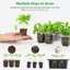 Bonviee 5-Pack Seed Starter Tray Kits with Adjustable Humidity Domes and Black Bases - Indoor Mini Greenhouse Propagator for Seeds 5