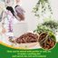 Legigo 8 Quarts Organic Orchid Potting Bark - All Natural Pine Bark Wood Chips for Houseplant Mulch and Root Development 7