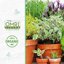 Back to the Roots 100% Organic Vermiculite 24qt Value Pack - Premium Horticultural Grade Soil Amendment 2