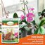 Legigo 12 Quarts Organic Orchid Potting Bark - All Natural Pine Bark Wood Chips for Root Development and Houseplant Mulch 5