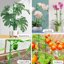 SupKing Adjustable Plant Stakes 16Pcs Set - Fiberglass Orchid Support Sticks with Clips and Ties for Indoor Outdoor Garden 6