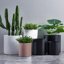 FaithLand Fiberstone Planter Cylinder Plant Pot with Drainage Hole & Plug, Indoor Outdoor Use, Terracotta Color 8" 7