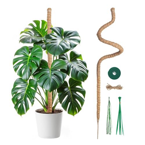 Mcbazel Palo Cocco 120cm