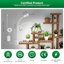 SANSI Lampada per Piante a LED 30W Spettro Completo con Timer 4/8/12 Ore e 3 Teste a Collo di Cigno Regolabili, Equivalente a 450W, Attacco E27 per Coltivazione Indoor 6