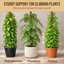 Craft911 64 Inch Bendable Moss Pole for Monstera and Climbing Plants - Coco Coir Plant Support Stake 5