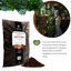 GebEarth Terriccio Universale Protein Base 5L - Concime Organico a Rilascio Lento con Aminoacidi, Acidi Umici e Fulvici per Piante in Vaso 6