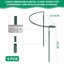 OFFCUP Supporto per Piante ad Anello in Metallo - Set di 6 Pali per Giardino e Orto, Anticorrosione Verde, 20x35cm 2