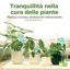 Bamworld Set 10 Pezzi Ampolle per Irrigazione Automatica Piante - Sistema a Goccia per Vasi Interni ed Esterni, Ideale per Vacanze e Giardino 2