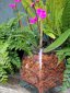 SuperMoss Orchid Potting Bark, Natural Douglas Fir, 4 Quarts 4