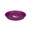 Elho Green Basics Saucer Sottovaso Rosa 22 CM per Interno ed Esterno 5