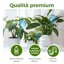 Bamworld Set 10 Pezzi Ampolle per Irrigazione Automatica Piante - Sistema a Goccia per Vasi Interni ed Esterni, Ideale per Vacanze e Giardino 5