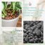 Legigo 6 LB Organic Leca Clay Pebbles, 4mm-16mm Natural Hydroton Balls for Hydroponics, Aquaponics, Orchids and Indoor Plants 5