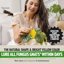 Super Ninja Gnat Traps & Fruit Fly Catchers - 12 Pack Indoor Pest Control Kit - 10 Yellow Sticky Plant Traps & 2 Natural Attractant Fruit Fly Traps - Non-Toxic, Kid & Pet Friendly 4
