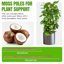 Mcbazel Set Pali in Fibra di Cocco per Monstera e Piante Rampicanti - Supporto Flessibile con Nucleo in Alluminio e Accessori 2