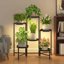 iDavosic.ly 6-Tier Corner Plant Stand with Grow Light, Metal Indoor Outdoor Flower Display Shelf, Folding Tall Wrought Iron Orchid Rack for Patio Balcony Garden and Living Room - Black 1