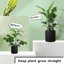 SupKing 16Pcs Adjustable Plant Support Stakes - Fiberglass Orchid Sticks with Clips and Ties for Indoor & Outdoor Garden 7