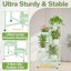 iDavosic.ly 5-Tier Corner Plant Stand, Metal Indoor Outdoor Flower Display Shelf, Folding Tall Wrought Iron Orchid Rack for Patio Balcony and Garden, Light Green 4