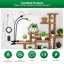 SANSI Lampada per Piante a LED da Interno 20W Spettro Completo con 2 Clip a Collo di Cigno e Timer 7