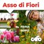 CIFO Asso di Fiori Concime Universale in Polvere 1kg - Fertilizzante per Piante Verdi, Grasse, Fiori e Orto - Previene Carenze Nutritive e Favorisce la Crescita - Made in Italy 5