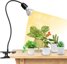 SANSI LED Grow Lights for Indoor Plants - Full Spectrum Gooseneck Clamp Lamp with Replaceable Bulbs 1