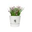 Elho Greenville Round 20 Vaso con serbatoio idrico integrato per Interno/esterno, Plastica Riciclata Ø 19.5 x H 18.4 cm - Bianco/White 8