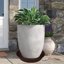 Bleuhome 3 Pack Large Deep Plant Saucers - 22 Inch Round Plastic Drip Trays for Flower Pots and Bird Baths 4