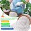 Legigo 4 Quarts Organic Horticultural Perlite - Natural Soil Additive for Drainage, Aeration and Root Growth 3