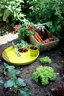 Elho Green Basics Saucer Sottovaso Verde 22 CM per Interno ed Esterno 3