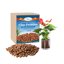 Riare 14 LBS Organic Expanded Clay Pebbles - 4mm-16mm Natural LECA Balls for Hydroponics, Aquaponics, and Plant Drainage 1