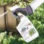 Bonide Captain Jack's Neem Oil 32 oz Ready-to-Use Spray - Organic 3-in-1 Insecticide, Miticide & Fungicide for Plants, Vegetables, Flowers and Indoor Houseplants 2