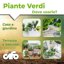 CIFO Concime Liquido Piante Verdi e Grasse 1L - Fertilizzante per Casa, Terrazzo e Balcone - Stimola Crescita, Radici e Colore Verde Intenso - Made in Italy 3