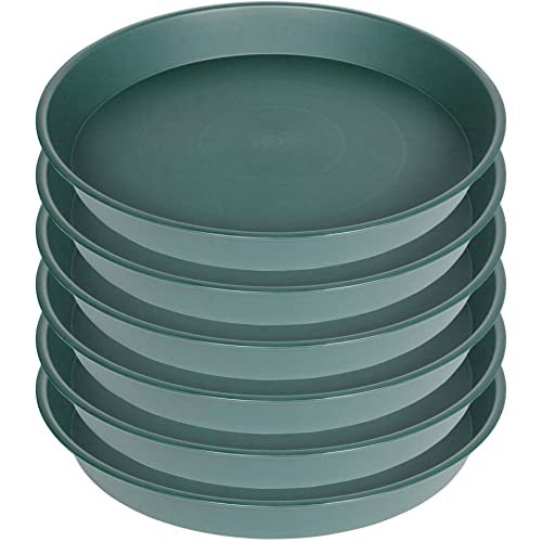 Bleuhome 6 Pack Bird Bath Bowls 8 Inch - Heavy Duty Plastic Round Plant Saucer Trays for Garden and Outdoor Use