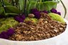 SuperMoss Orchid Potting Bark, Natural Douglas Fir, 4 Quarts 9
