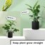 SupKing Adjustable Plant Stakes 16Pcs Set - Fiberglass Orchid Support Sticks with Clips and Ties for Indoor Outdoor Garden 7