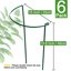 HiGift 6 Pack Metal Plant Support Stakes - Half Round Peony Cages for Garden & Indoor Plants - 10 inch Wide x 15.8 inch High 4
