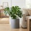 FaithLand Fiberstone Planter Cylinder Plant Pot with Drainage Hole & Plug, Authentic Concrete Look, Gray 12" 7